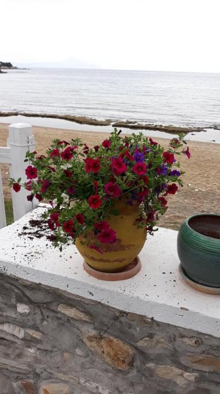 House Kokkalas On The Beach Pyrgadikia Extérieur photo