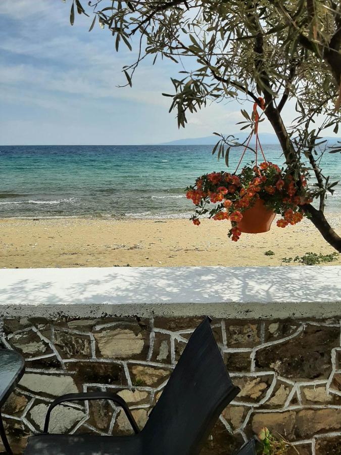 House Kokkalas On The Beach Pyrgadikia Extérieur photo