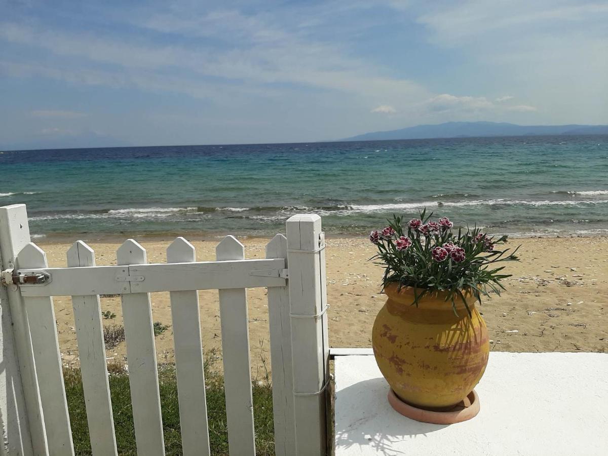 House Kokkalas On The Beach Pyrgadikia Extérieur photo